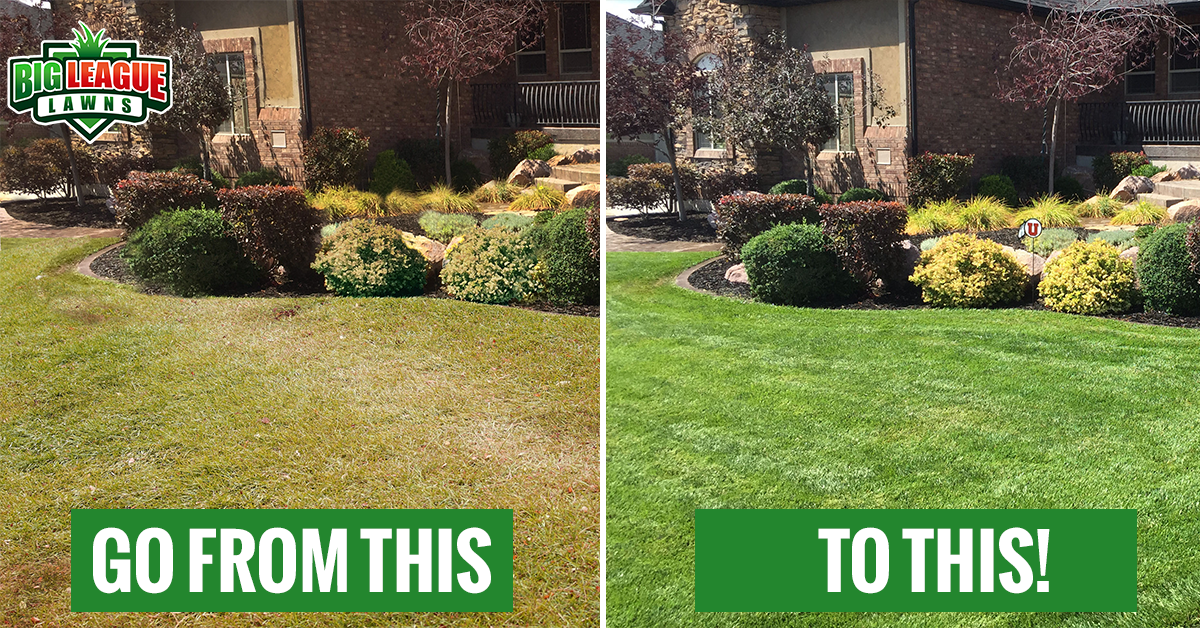 Before and after grass fertilization - Big League Lawns in Ogden Utah