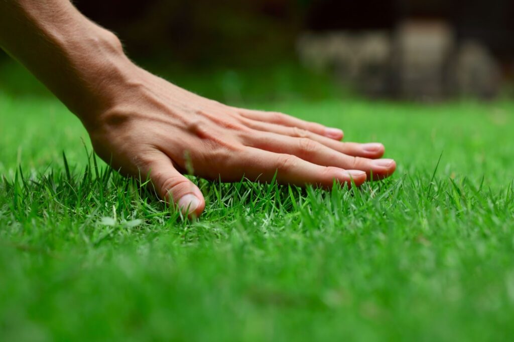 Person reaching for grass in yard for liquid lawn aeration and soil conditioner in lawn care