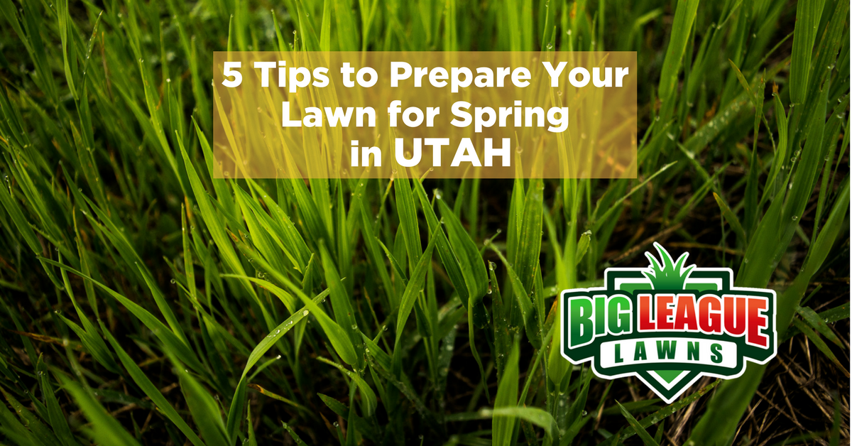 Lawn-care Tips for Spring in Utah - Big League Lawns Ogden