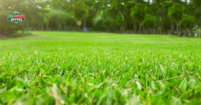 Lush, green lawn - Lawn Fertilization Services in Utah - Big League Lawns.
