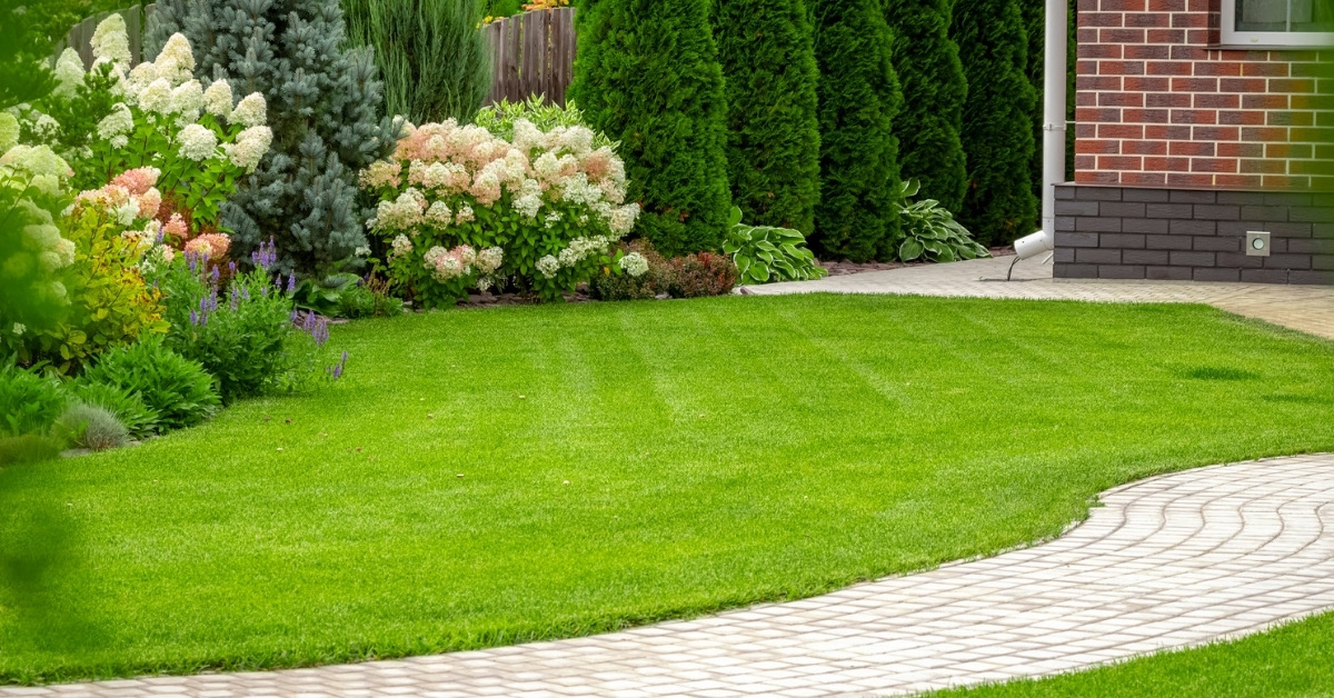 Contact the Top Notch Lawn Care Services in Riverdale, Utah