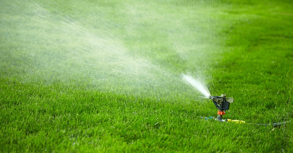 What is the Best Lawn Care Schedule in Utah? - Monthly Lawn Care

