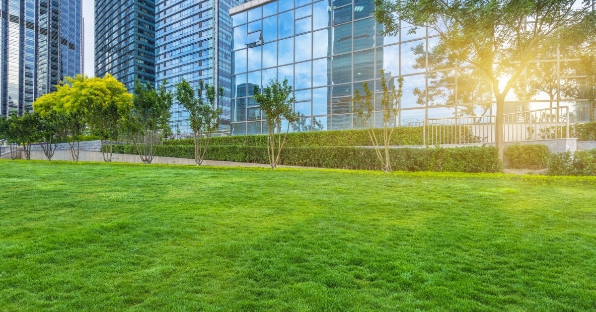 Commercial Building With a Healthy Lawns