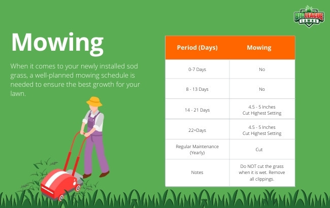 How to Take Care of New Sod - Mowing