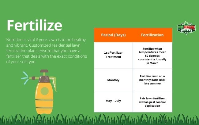 How to Take Care of Freshly Laid Sod? - When to Fertilize New Sod