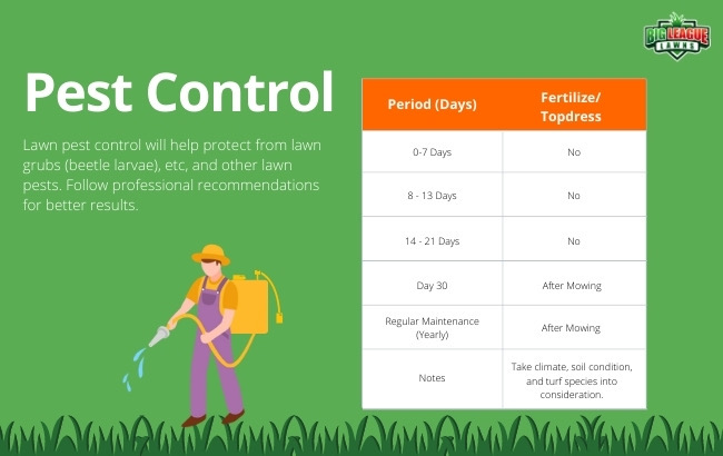 How to Take Care of Freshly Laid Sod? - Pest Control