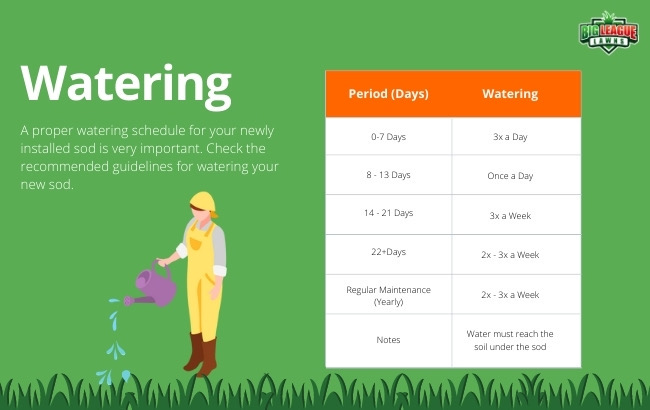 How to Take Care of New Sod - Watering