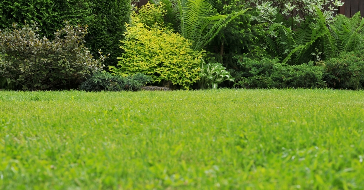Best Lawn Care Services in Bountiful, Utah