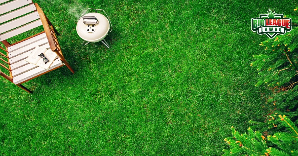Lush Green Lawn with Chair & BBQ- Top Lawn Care Services in Bountiful, Utah -Big League Lawns