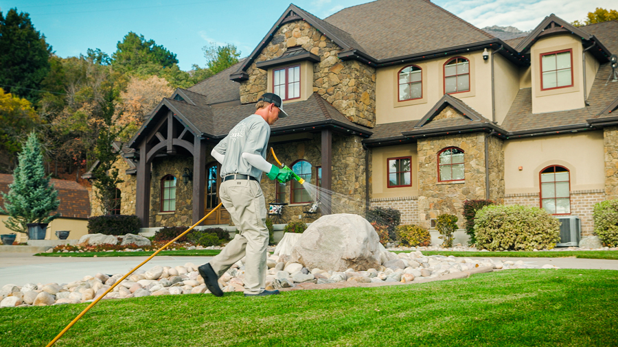 A man aerates the lawn in front of a spacious house, keeping it lush.
