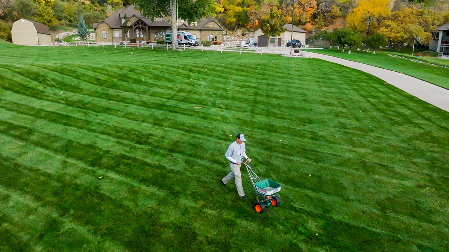 A man mowing a green lawn with a lawn mower.