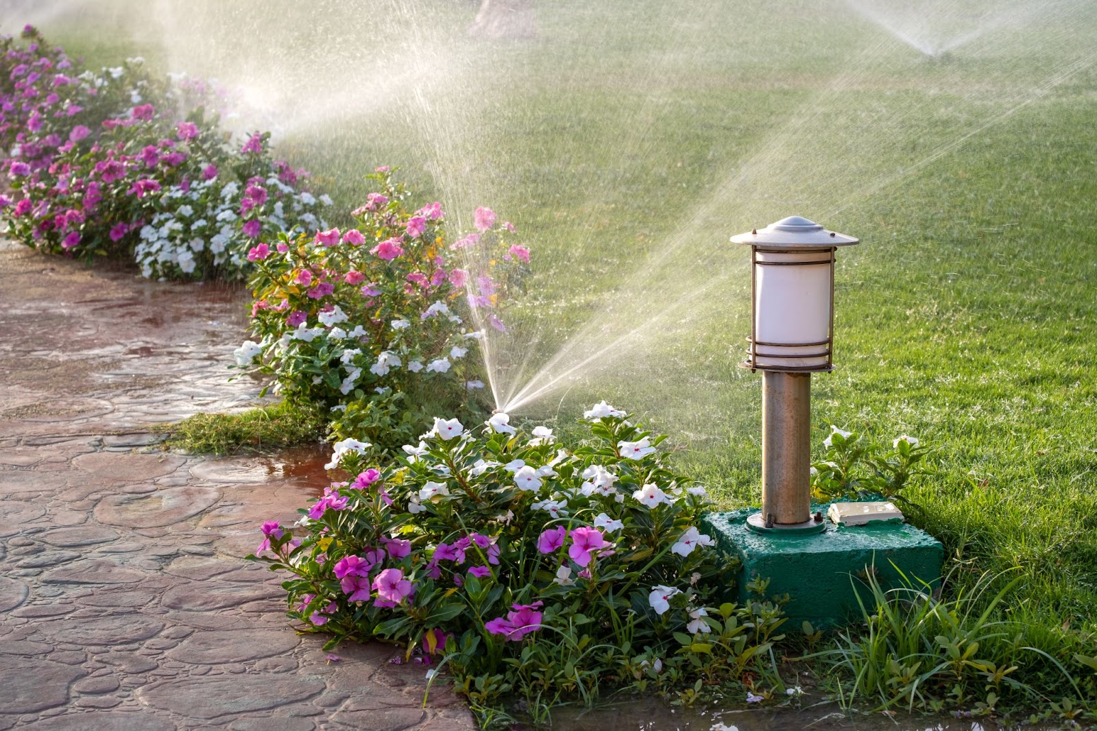 Sprinkler system watering a lawn for proper lawn care