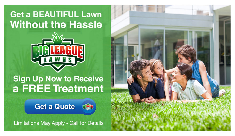Free Lawn Care Treatment Promotion Coupon - Big League Lawns in Ogden Utah 