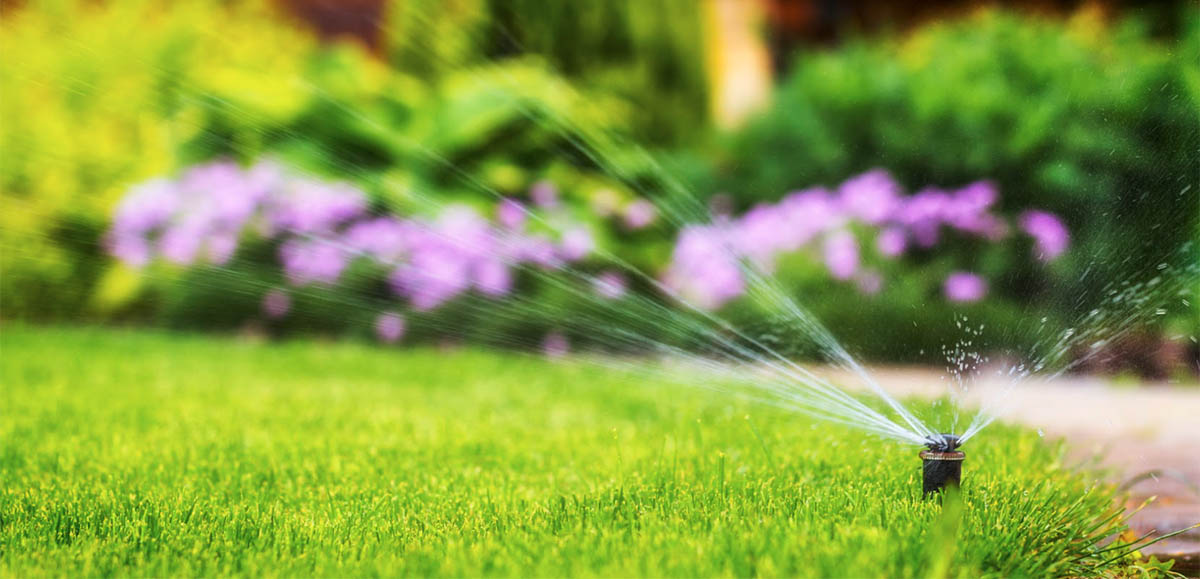 Watering lawn photo - Utah lawn watering guide